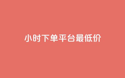 24小时下单平台最低价 - 全天候最低价下单平台推荐~ 第1张 24小时下单平台最低价 - 全天候最低价下单平台推荐~ 第1张