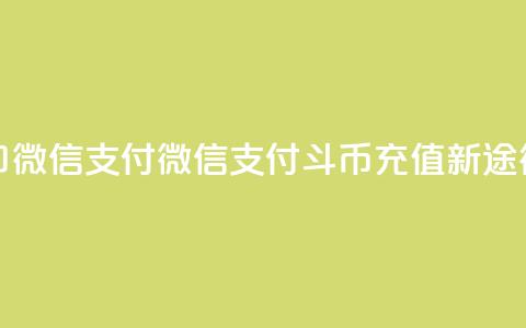 斗币充值入口微信支付 - 微信支付斗币充值新途径解析! 第1张 斗币充值入口微信支付 - 微信支付斗币充值新途径解析! 第1张