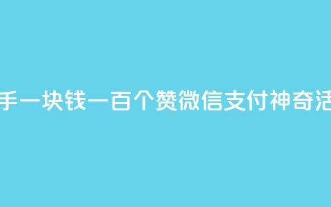 快手一块钱一百个赞微信支付神奇活动 第1张 快手一块钱一百个赞微信支付神奇活动 第1张