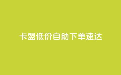 卡盟低价自助下单速达 第1张 卡盟低价自助下单速达 第1张