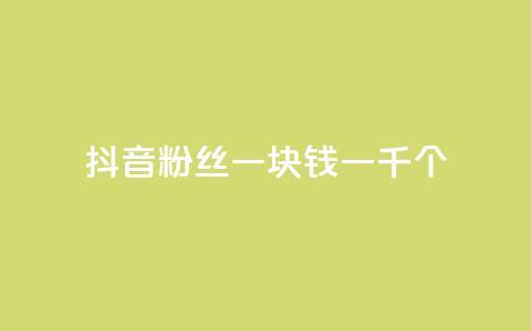 抖音粉丝一块钱一千个 - 抖音粉丝仅需一元获取千人关注秘诀揭秘! 第1张 抖音粉丝一块钱一千个 - 抖音粉丝仅需一元获取千人关注秘诀揭秘! 第1张