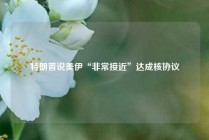 特朗普说美伊“非常接近”达成核协议