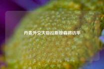 丹麦外交大臣拉斯穆森将访华