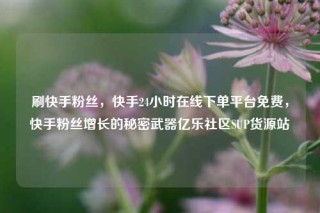 刷快手粉丝，快手24小时在线下单平台免费，快手粉丝增长的秘密武器亿乐社区SUP货源站