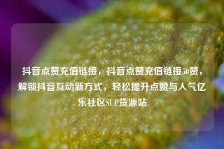 抖音点赞充值链接，抖音点赞充值链接50赞，解锁抖音互动新方式，轻松提升点赞与人气亿乐社区SUP货源站