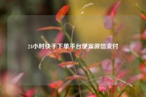 24小时快手下单平台便宜微信支付