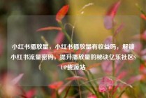 小红书播放量，小红书播放量有收益吗，解锁小红书流量密码，提升播放量的秘诀亿乐社区SUP货源站