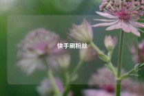 快手刷粉丝