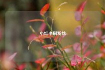 小红书刷粉丝