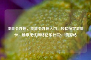 流量卡办理，流量卡办理入口，轻松搞定流量卡，畅享无忧网络亿乐社区SUP货源站