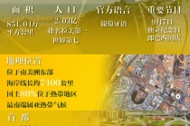 “好朋友、好伙伴！”中国巴西友谊之树枝繁叶茂｜图览天下