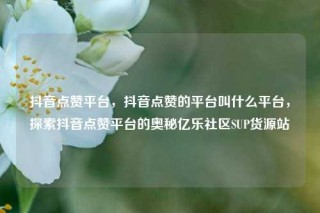 抖音点赞平台，抖音点赞的平台叫什么平台，探索抖音点赞平台的奥秘亿乐社区SUP货源站