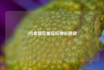 4月金融总量指标增长稳健