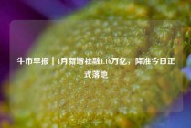 牛市早报｜4月新增社融1.16万亿，降准今日正式落地
