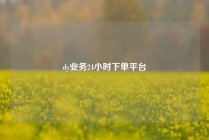dy业务24小时下单平台