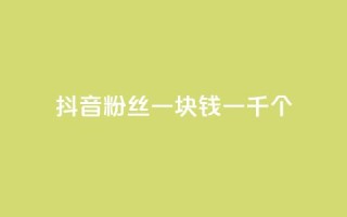 抖音粉丝一块钱一千个 - 抖音粉丝仅需一元获取千人关注秘诀揭秘！