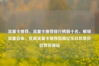 流量卡推荐，流量卡推荐排行榜前十名，解锁流量自由，优质流量卡推荐指南亿乐社区低价自营货源站
