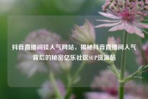 抖音直播间挂人气网站，揭秘抖音直播间人气背后的秘密亿乐社区SUP货源站