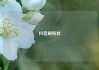 抖音刷粉丝