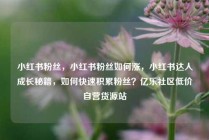 小红书粉丝，小红书粉丝如何涨，小红书达人成长秘籍，如何快速积累粉丝？亿乐社区低价自营货源站