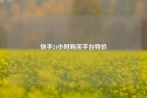快手24小时购买平台特价