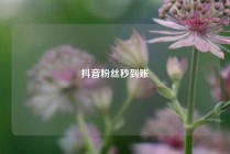 抖音粉丝秒到账