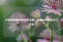 卢拉谈美国降低对华关税：中国的行动捍卫了主权