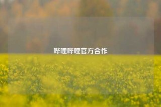哔哩哔哩官方合作