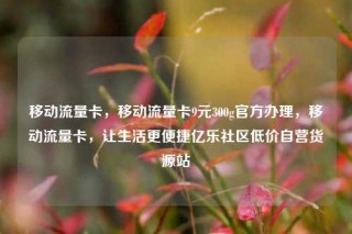 移动流量卡，移动流量卡9元300g官方办理，移动流量卡，让生活更便捷亿乐社区低价自营货源站