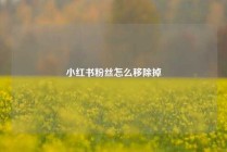 小红书粉丝怎么移除掉