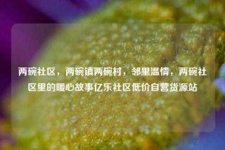 两碗社区，两碗镇两碗村，邻里温情，两碗社区里的暖心故事亿乐社区低价自营货源站