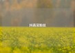 抖音买粉丝