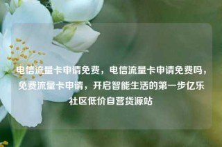 电信流量卡申请免费，电信流量卡申请免费吗，免费流量卡申请，开启智能生活的第一步亿乐社区低价自营货源站