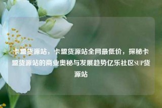 卡盟货源站，卡盟货源站全网最低价，探秘卡盟货源站的商业奥秘与发展趋势亿乐社区SUP货源站