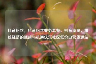 抖音粉丝，抖音粉丝业务套餐，抖音流量，粉丝经济的崛起与机遇亿乐社区低价自营货源站