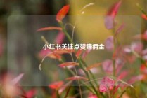 小红书关注点赞赚佣金