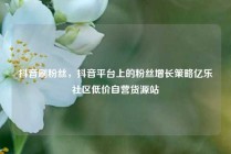 抖音刷粉丝，抖音平台上的粉丝增长策略亿乐社区低价自营货源站