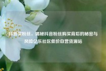 抖音买粉丝，揭秘抖音粉丝购买背后的秘密与风险亿乐社区低价自营货源站