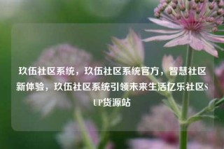 玖伍社区系统，玖伍社区系统官方，智慧社区新体验，玖伍社区系统引领未来生活亿乐社区SUP货源站