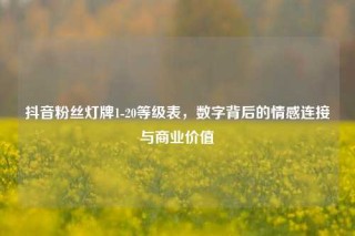 抖音粉丝灯牌1-20等级表，数字背后的情感连接与商业价值