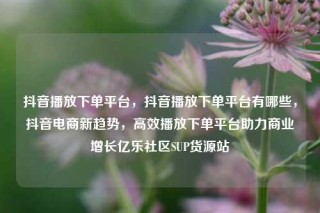 抖音播放下单平台，抖音播放下单平台有哪些，抖音电商新趋势，高效播放下单平台助力商业增长亿乐社区SUP货源站