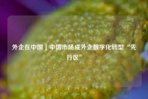 外企在中国｜中国市场成外企数字化转型“先行区”