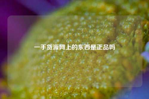 一手货源网上的东西是正品吗  第1张