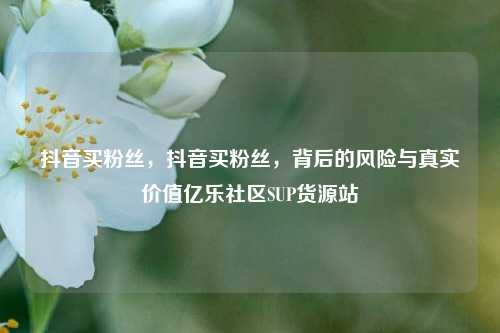 抖音买粉丝，抖音买粉丝	，背后的风险与真实价值亿乐社区SUP货源站  第1张