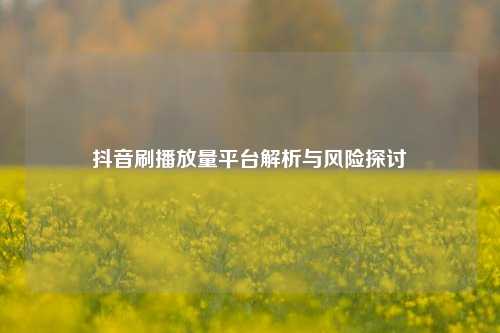 抖音刷播放量平台解析与风险探讨  第1张