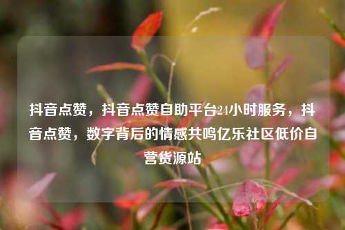 抖音点赞，抖音点赞自助平台24小时服务	，抖音点赞，数字背后的情感共鸣亿乐社区低价自营货源站  第1张