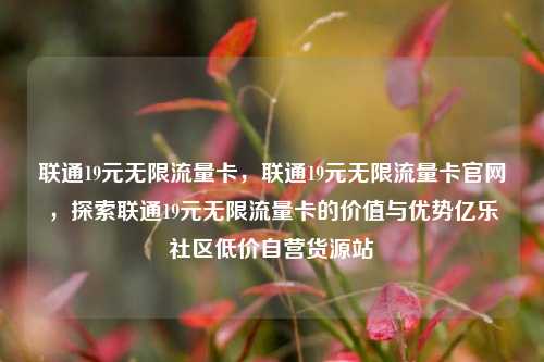 联通19元无限流量卡	，联通19元无限流量卡官网，探索联通19元无限流量卡的价值与优势亿乐社区低价自营货源站  第1张