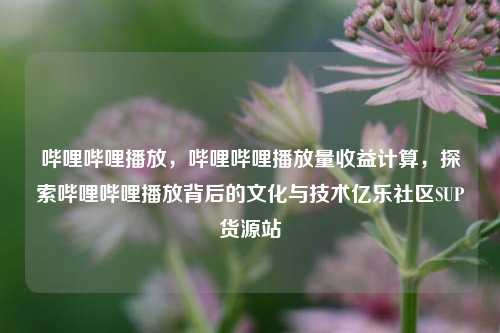 哔哩哔哩播放	，哔哩哔哩播放量收益计算，探索哔哩哔哩播放背后的文化与技术亿乐社区SUP货源站  第1张
