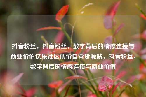 抖音粉丝	，抖音粉丝，数字背后的情感连接与商业价值亿乐社区低价自营货源站，抖音粉丝	，数字背后的情感连接与商业价值  第1张