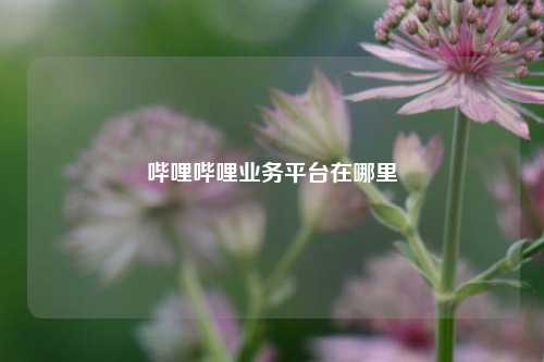 哔哩哔哩业务平台在哪里  第1张